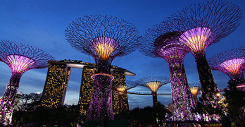 supertree groove gardens by the bay singapore
