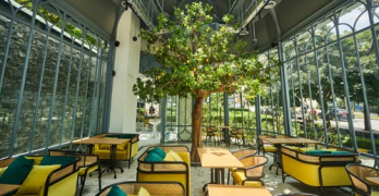 the lemon tree cafe