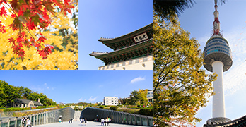 6d5n itinerary seoul korea