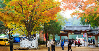 how to go nami island