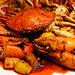 shell out kota damansara